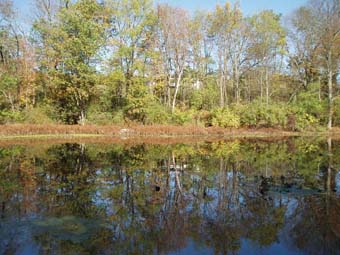 community photo